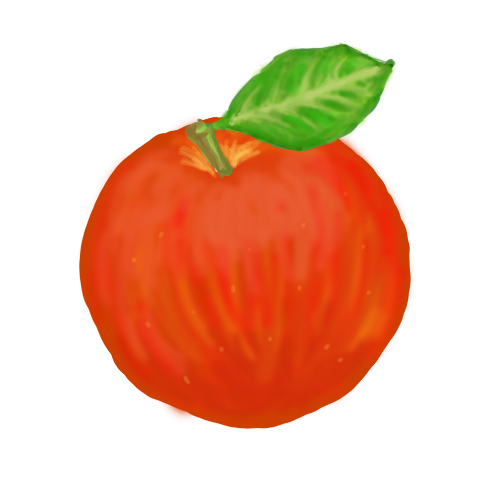 りんご(Apple)の手書き風イラスト