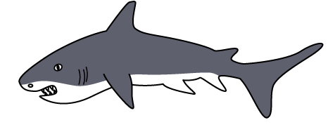 鮫(サメ)シャークのイラスト