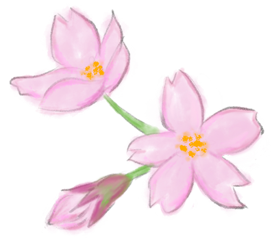 水彩画風桜のイラスト