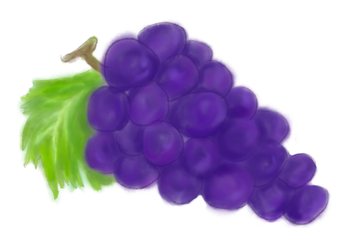 ぶどう,Grape,巨峰の手描き風イラスト